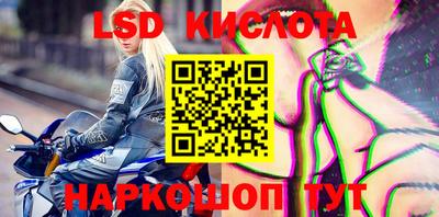 трава Камышлов