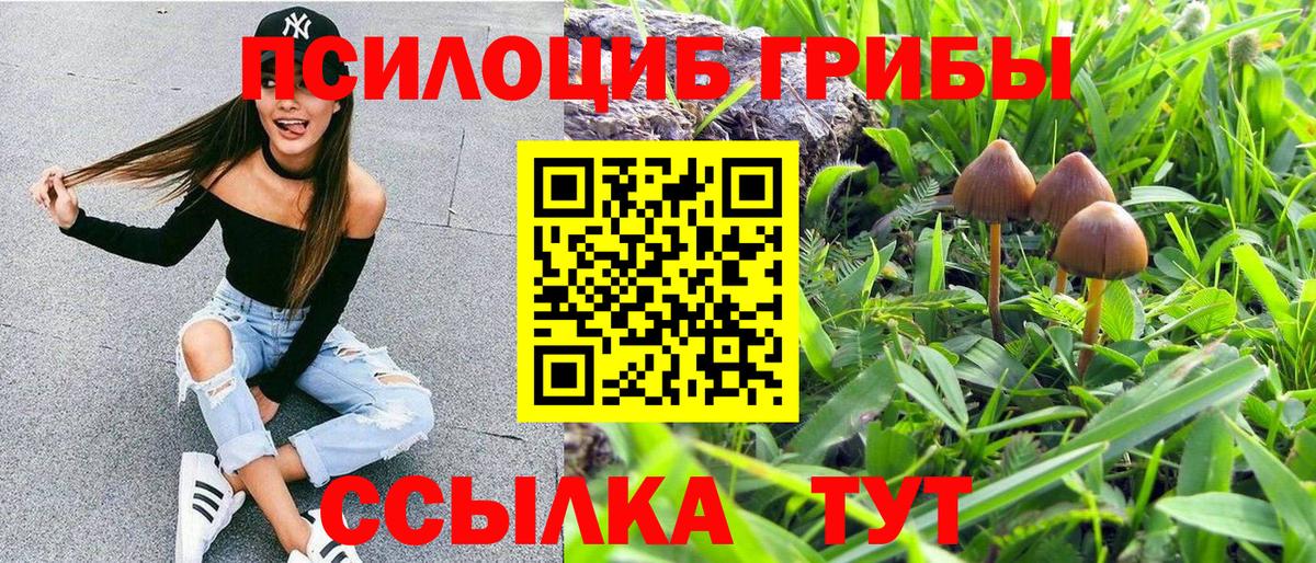 Кыштым  Псилоцибиновые грибы Psilocybe  Вход с VPN 